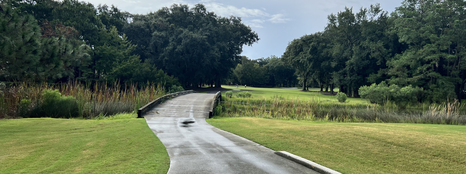 Banner_Image_Heritage_Cares_%281%29