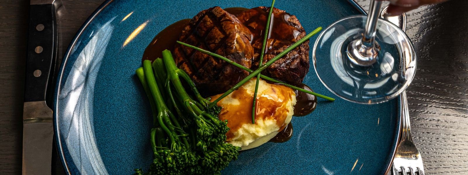 Terrapin_Banner_%281%29